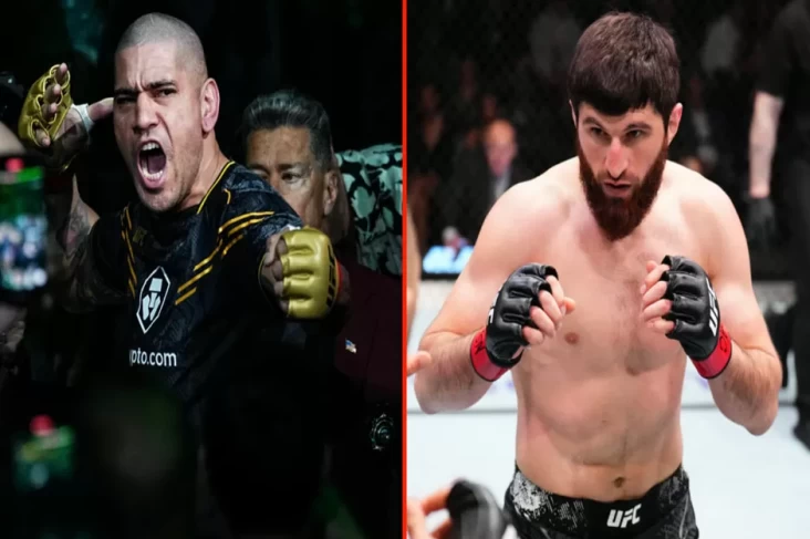 Alex Pereira Tantang Magomed Ankalaev di UFC 313: Taruhan Amal atau Keimanan Petarung Muslim?